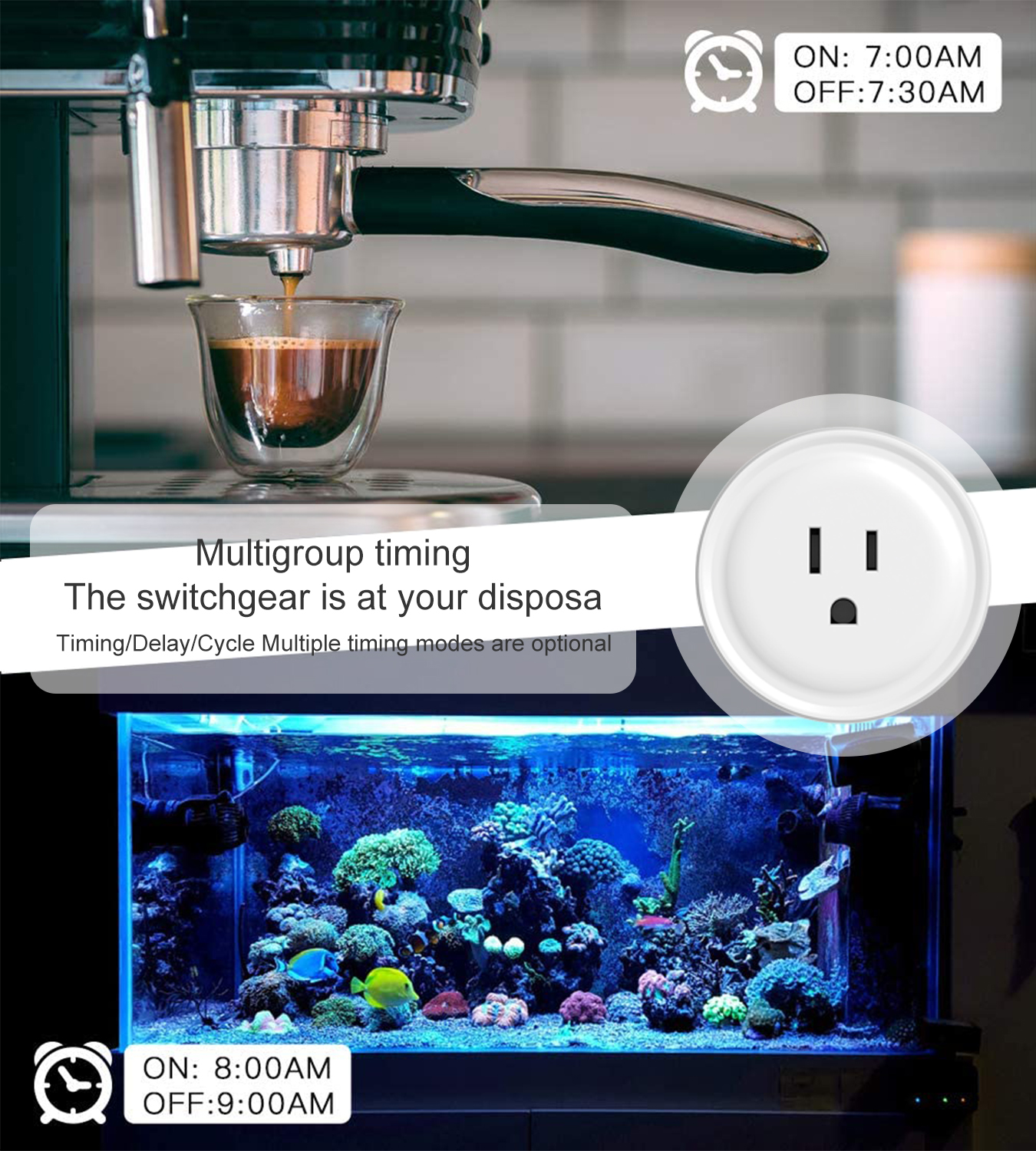 Tuya WiFi US Round 10A Smart P - Smart Home Voice Assistant のレビューと価格