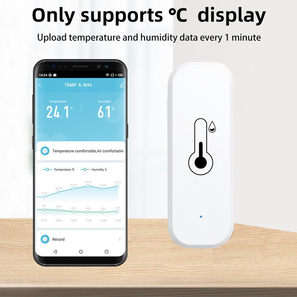 Zigbee/WIFI Smart Temperature  - Smart Home Voice Assistant のレビューと価格