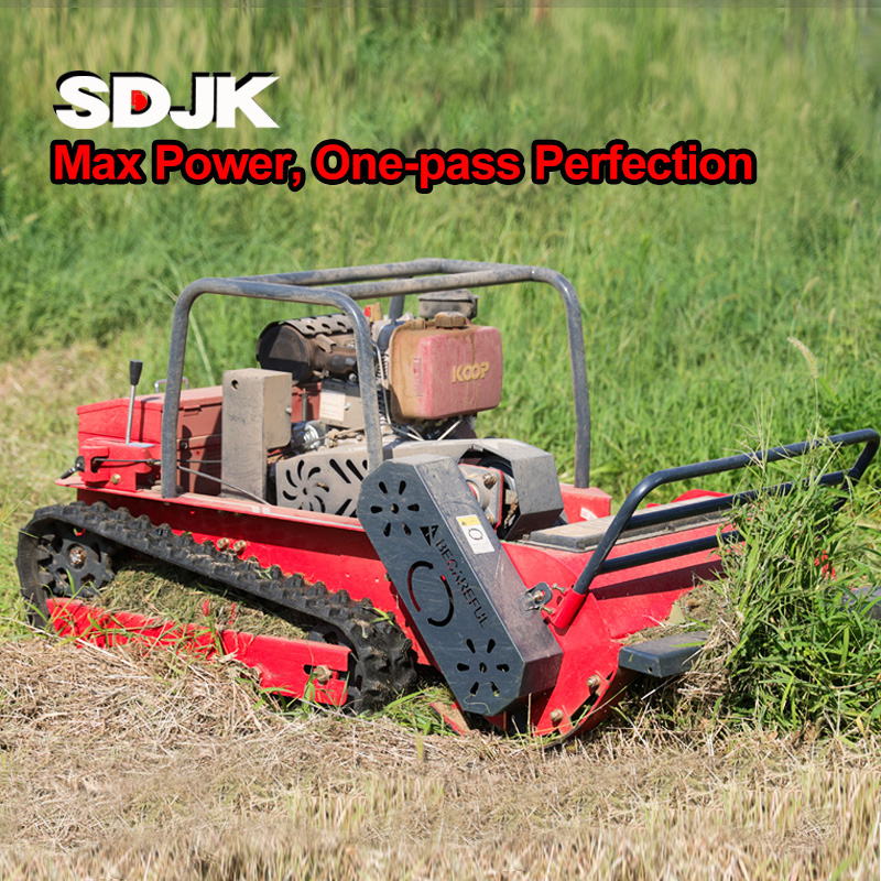 Mini Remote Control Lawn Mower - Smart Home Robot のレビューと価格