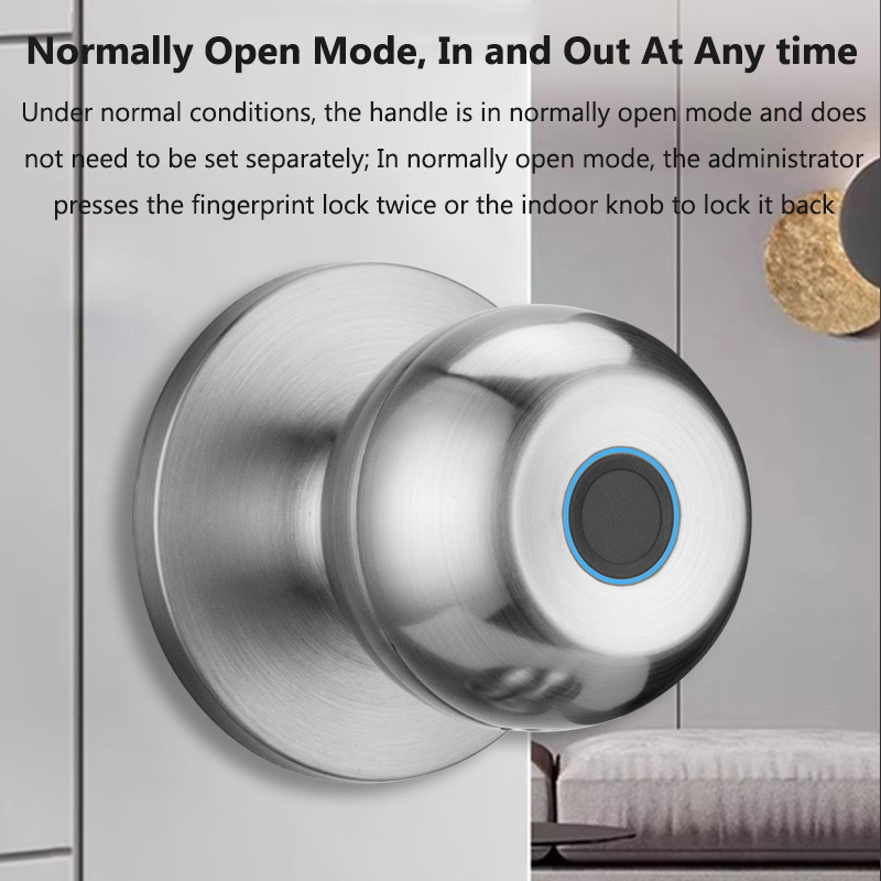 Tuya Door Lock Smart Fingerpri - Smart Home Door Lock のレビューと価格