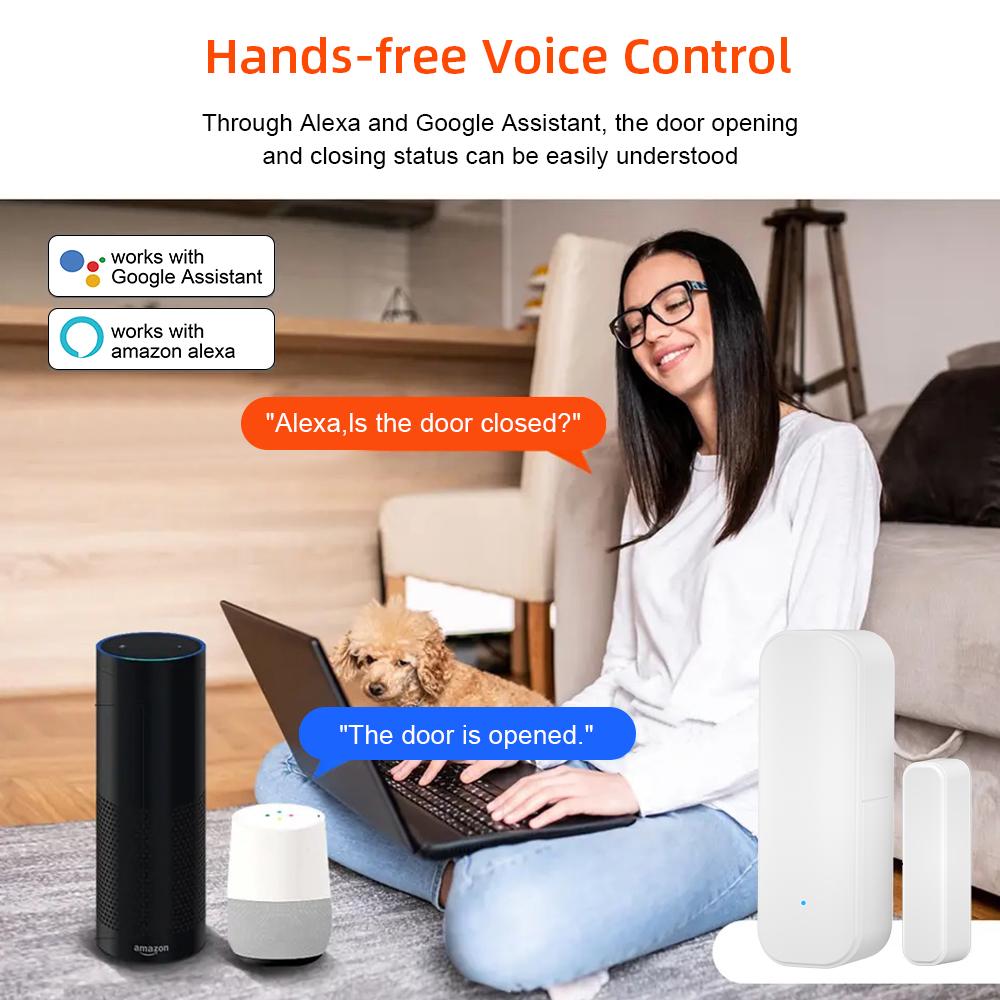 Tuya WiFi Zigbee Window Door S - Smart Home Voice Assistant のレビューと価格