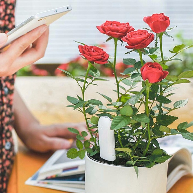 HHCC Flower Monitor Flora Gard - Smart Home Xiaomi 2 のレビューと価格