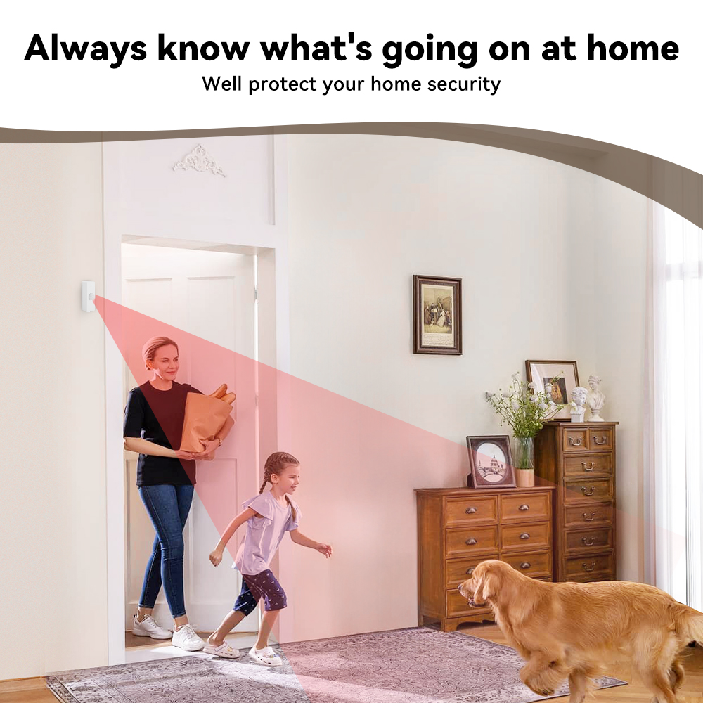 Tuya Smart PIR Motion Sensor S - Smart Home Monitoring のレビューと価格