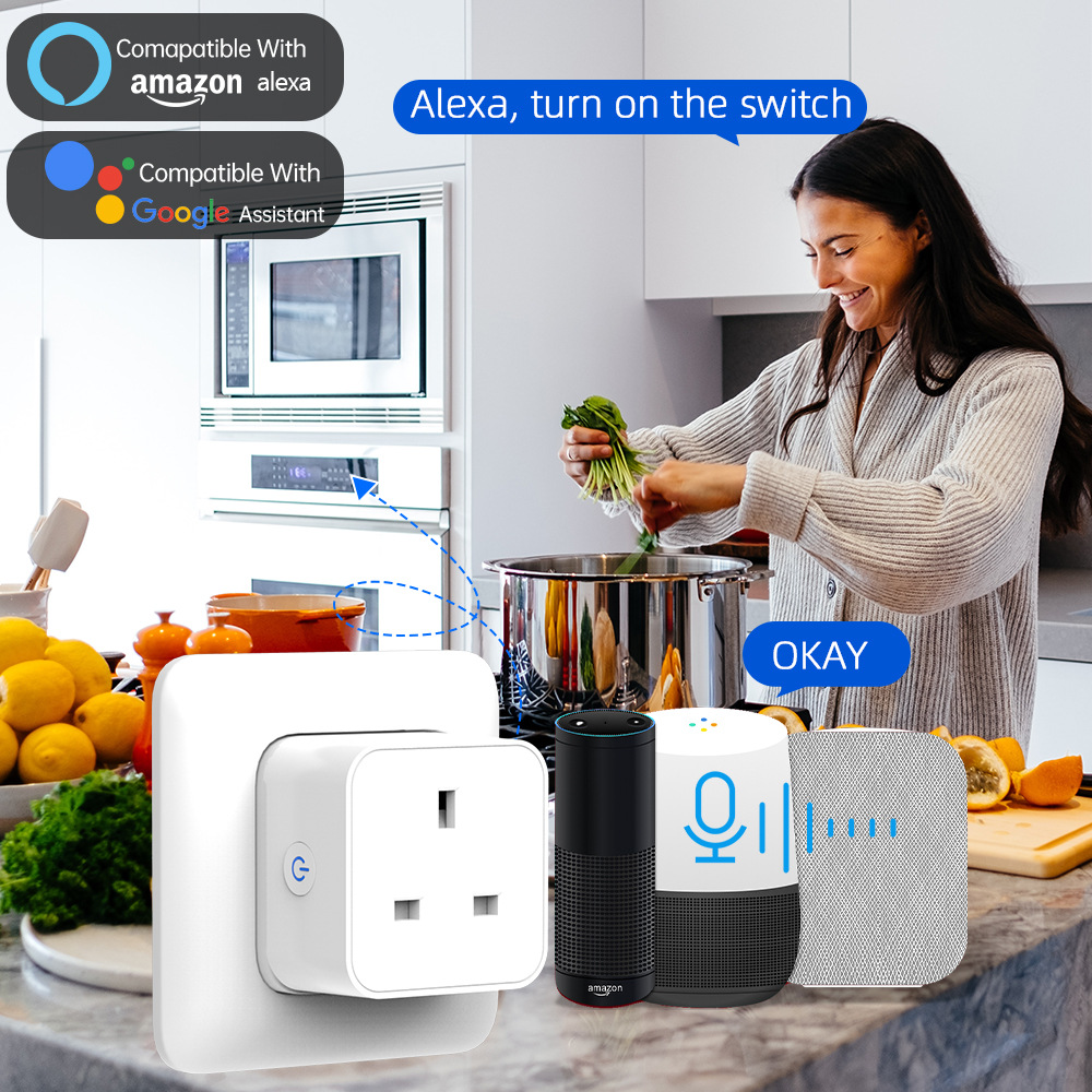 Tuya Smart Socket 16A/20A WiFi - Smart Home Or Smart Home のレビューと価格