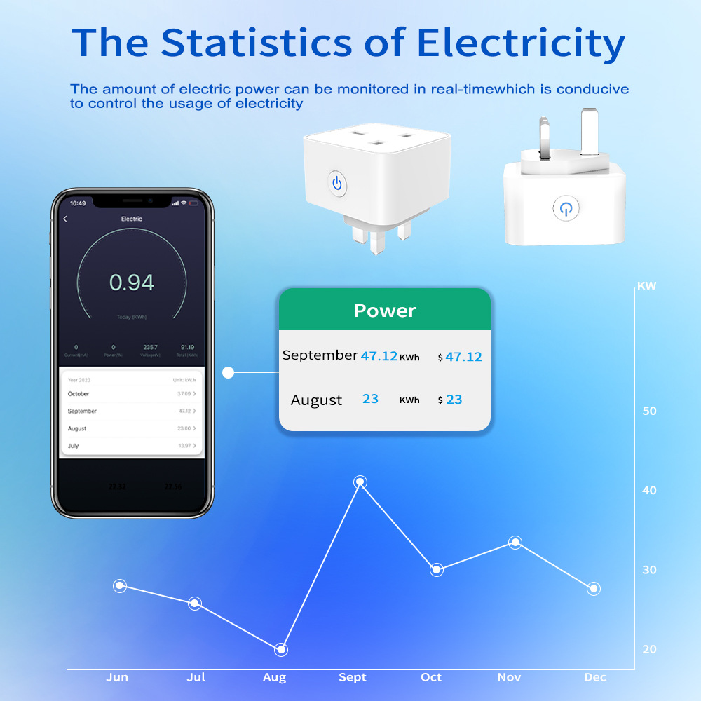 Tuya Smart Socket 16A/20A WiFi - Smart Home Or Smart Home のレビューと価格