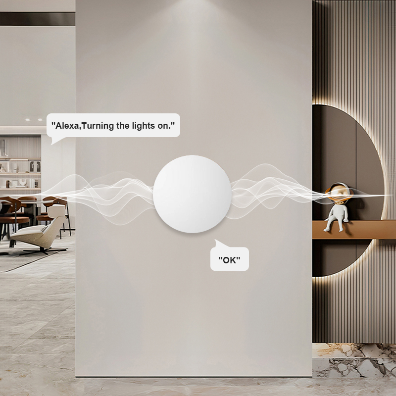 Smart Wireless Button Scene Sw - Smart Home Voice Assistant のレビューと価格