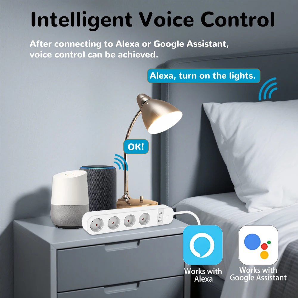 BORUIDAPLS FR Plug WiFi Smart  - Smart Home Or Smart Home のレビューと価格