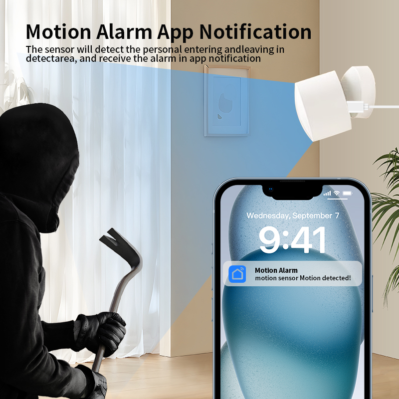 Zigbee or Wi-Fi Human Presence - Smart Home Monitoring のレビューと価格