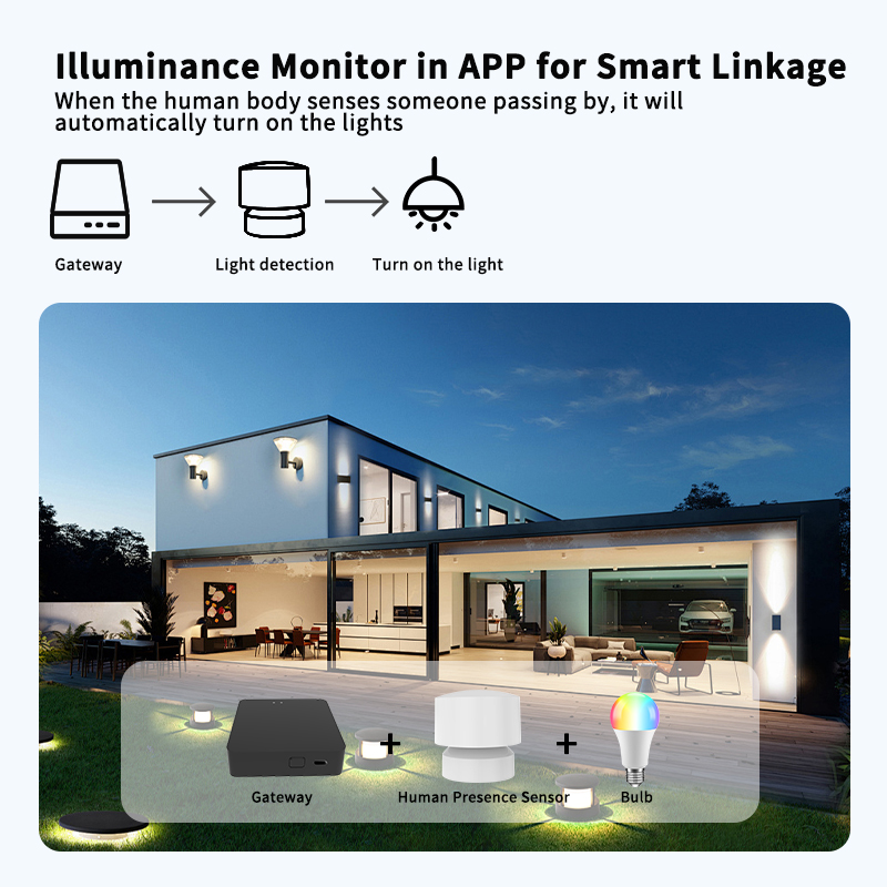 Zigbee or Wi-Fi Human Presence - Smart Home Monitoring のレビューと価格