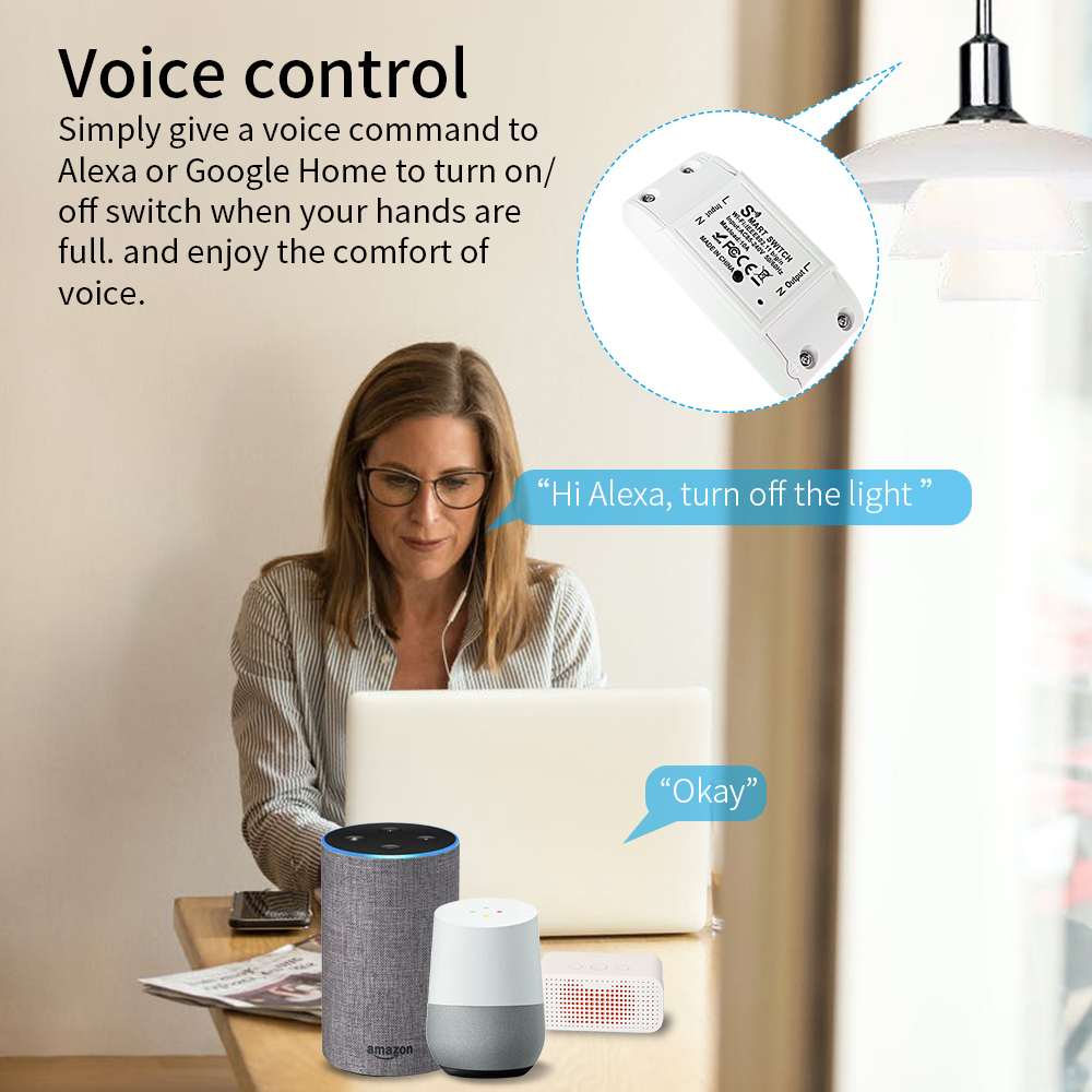 16A Tuya Wifi Smart Switch RF4 - Smart Home Voice Assistant のレビューと価格