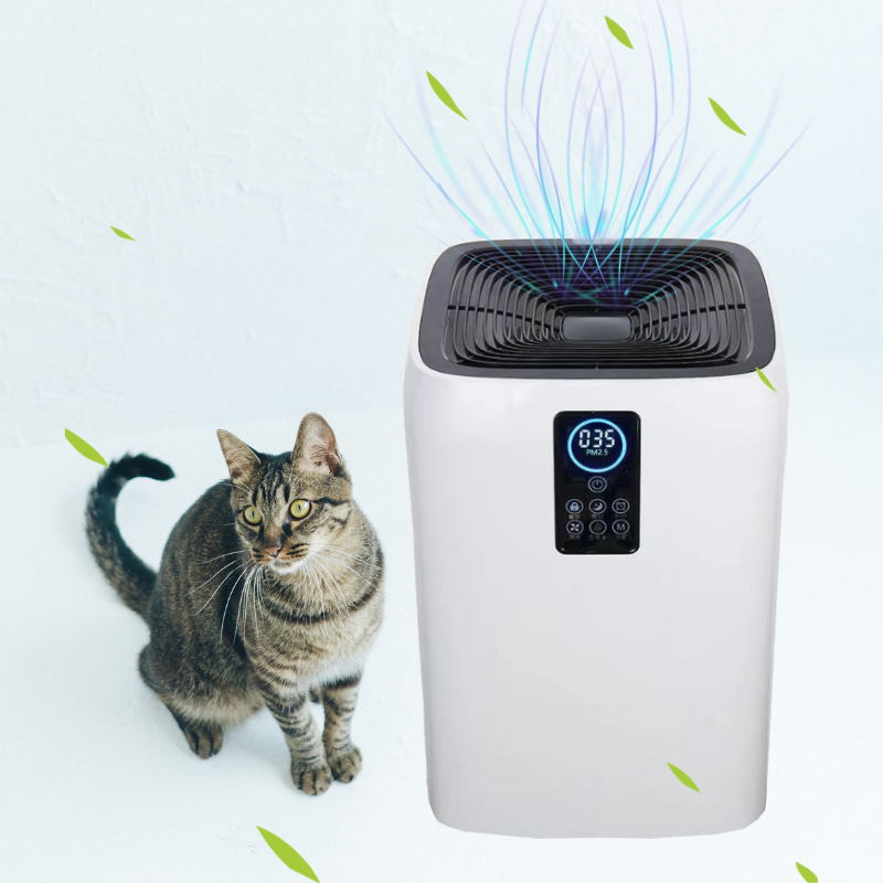 Flexible for Use in Hospital G - Smart Home のレビューと価格