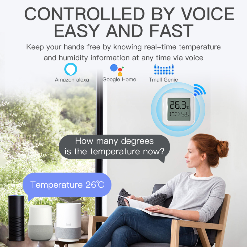 Bluetooth Temperature Humidity - Smart Home Voice Assistant のレビューと価格