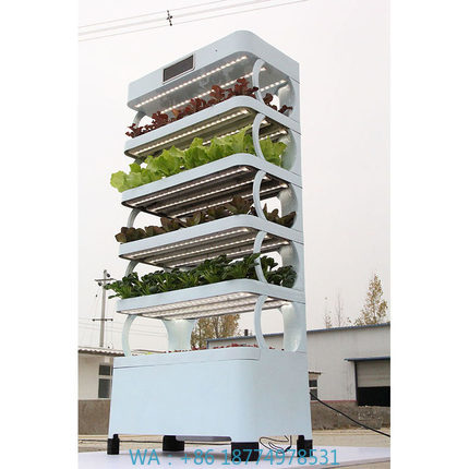 arming Home Hydroponic Growing - Smart Home Diy のレビューと価格