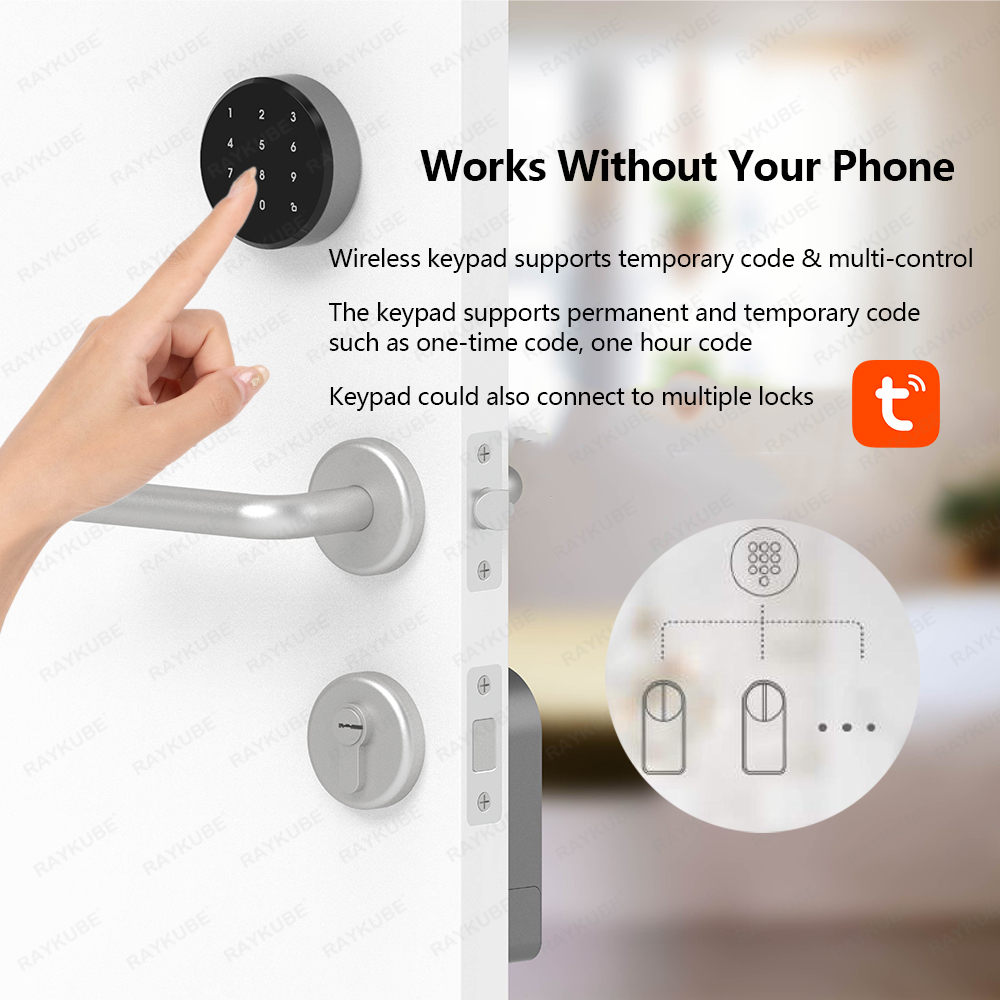 RAYKUBE A1 Pro Tuya BEL Smart  - Smart Home Door Lock のレビューと価格