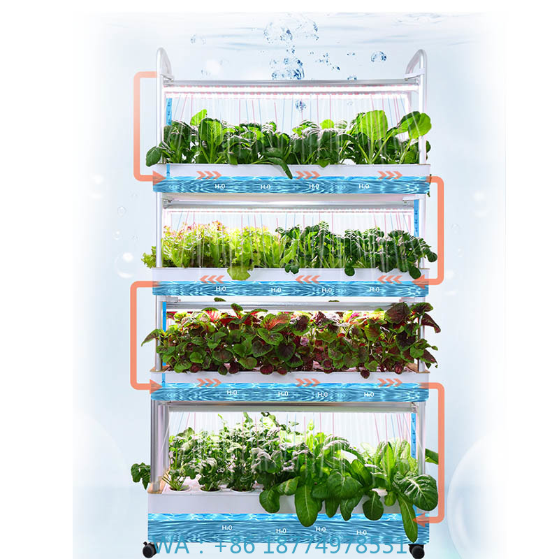 ydroponic Planting System Smar - Smart Home Diy のレビューと価格