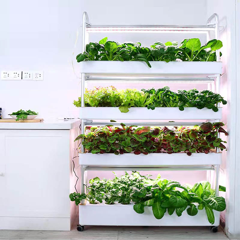 ydroponic Planting System Smar - Smart Home Diy のレビューと価格