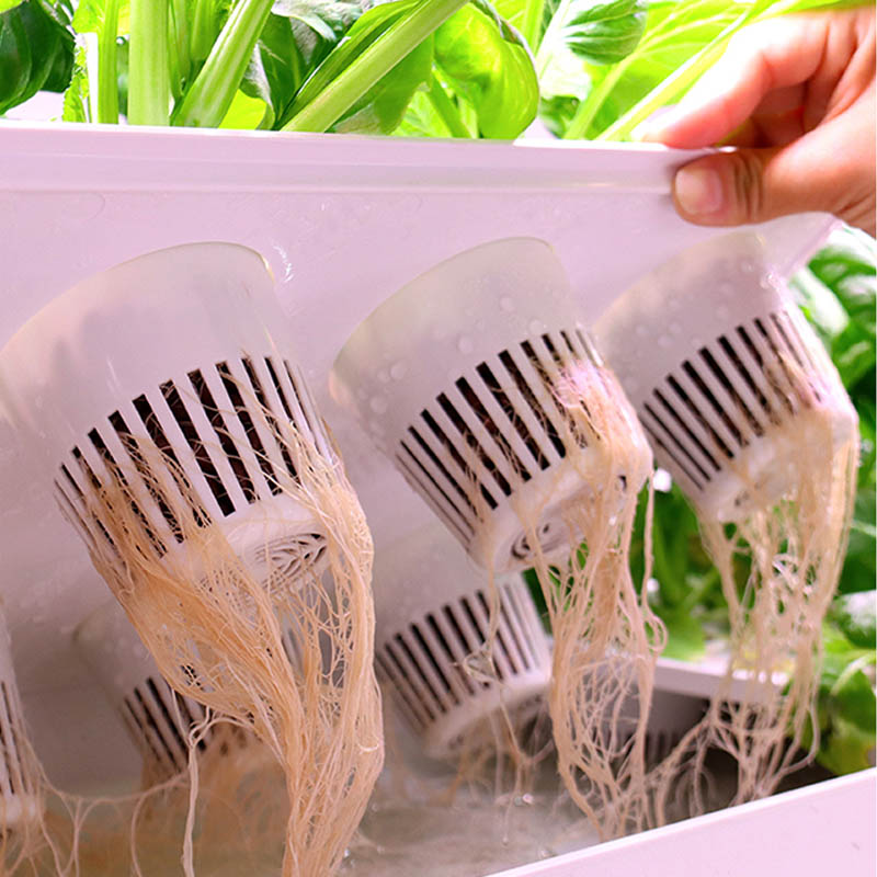 ydroponic Planting System Smar - Smart Home Diy のレビューと価格