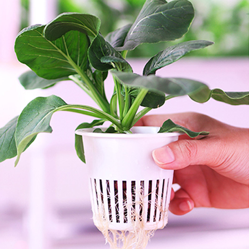 ydroponic Planting System Smar - Smart Home Diy のレビューと価格