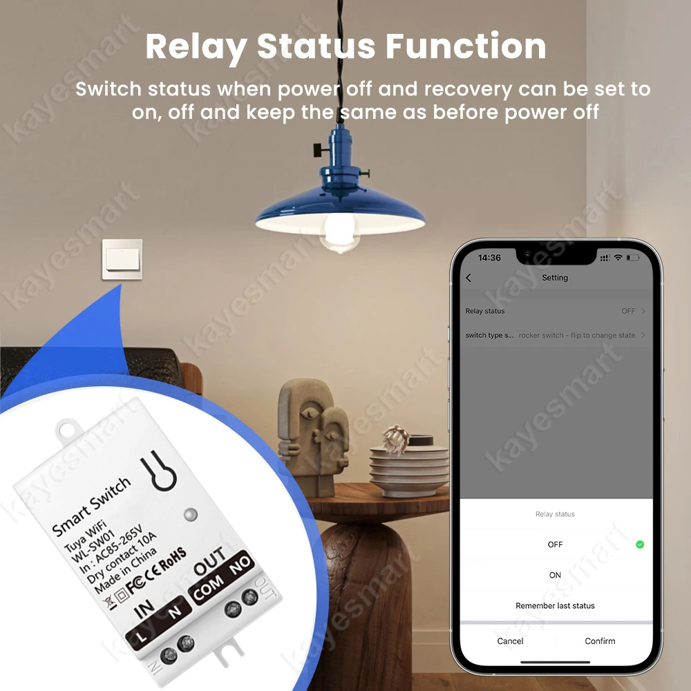Tuya WiFi Smart Switch Module  - Smart Home Life のレビューと価格