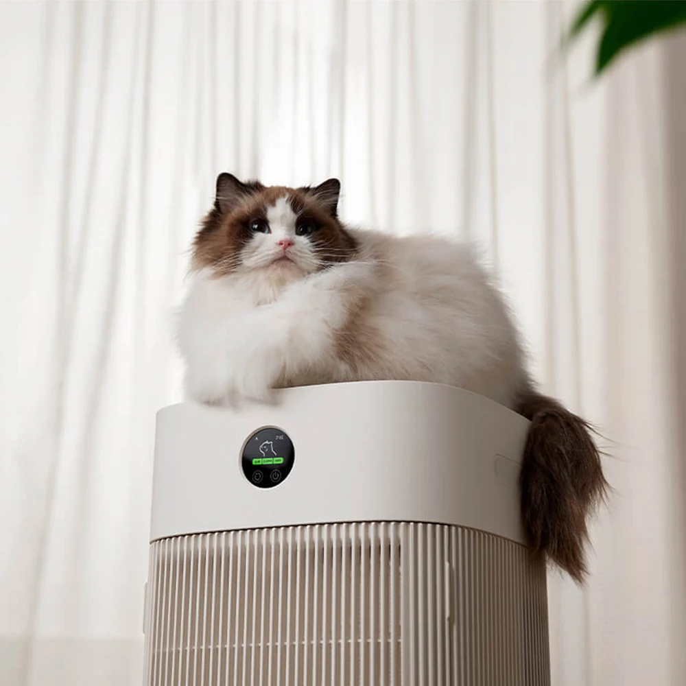 Cats Hair Fast Absorb Dogs Hai - Smart Home のレビューと価格