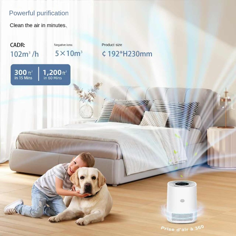 Smart Home Air Purifier with A - Smart Home のレビューと価格