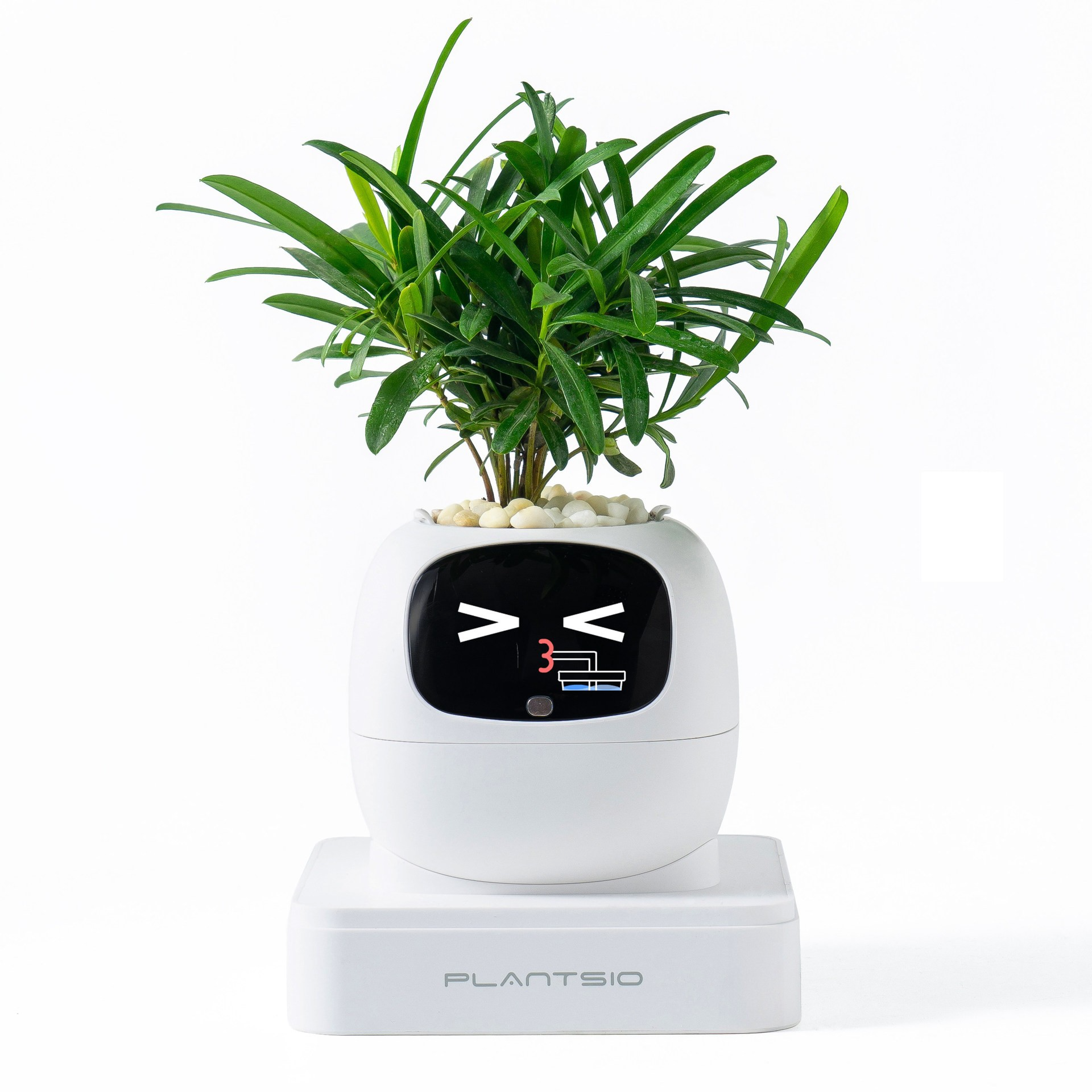 2026 NEW Second Generation Sma - Smart Home Robot のレビューと価格