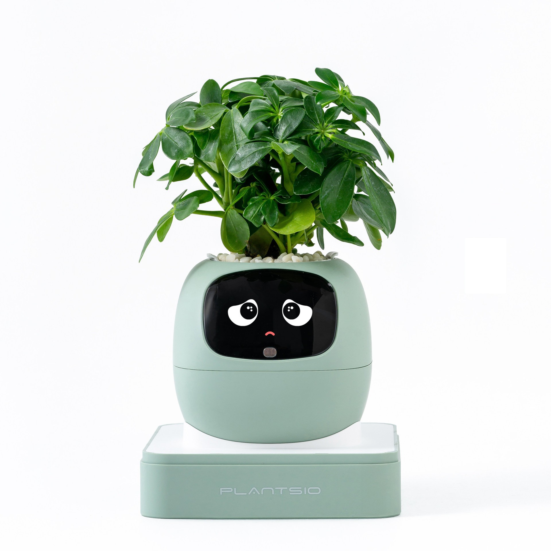 2026 NEW Second Generation Sma - Smart Home Robot のレビューと価格