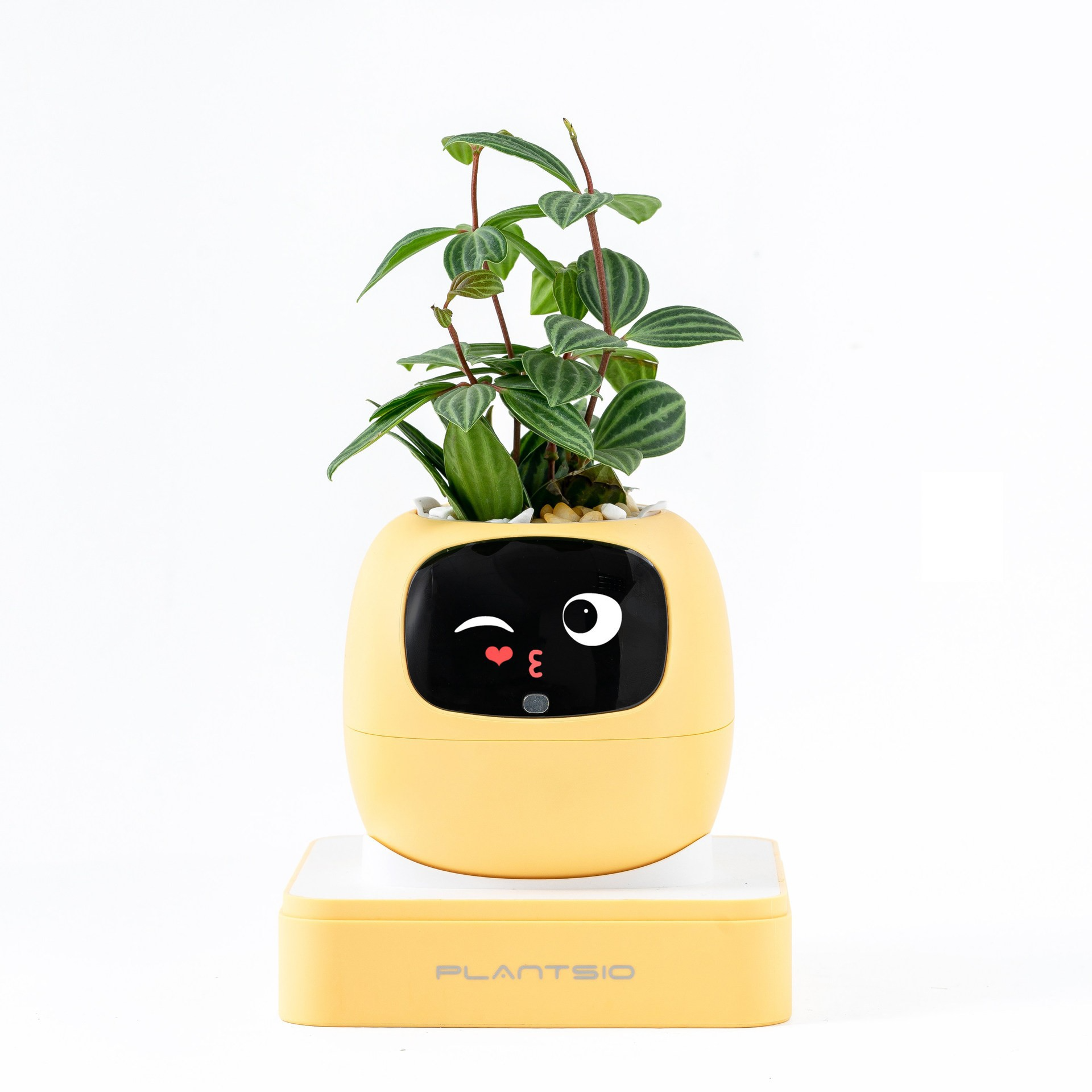 2026 NEW Second Generation Sma - Smart Home Robot のレビューと価格